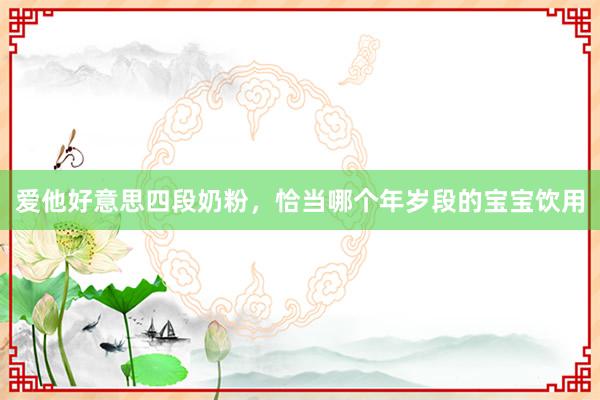 爱他好意思四段奶粉，恰当哪个年岁段的宝宝饮用