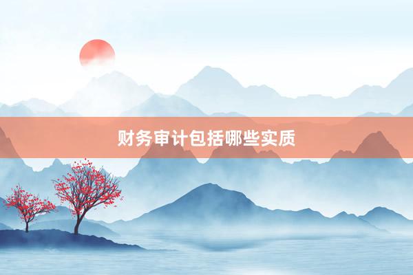 财务审计包括哪些实质