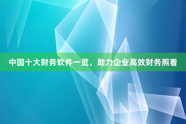 中国十大财务软件一览，助力企业高效财务照看