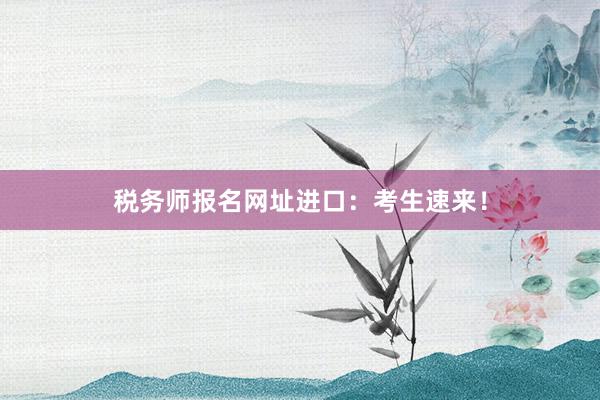 税务师报名网址进口：考生速来！