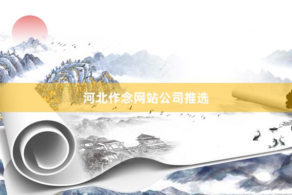 河北作念网站公司推选