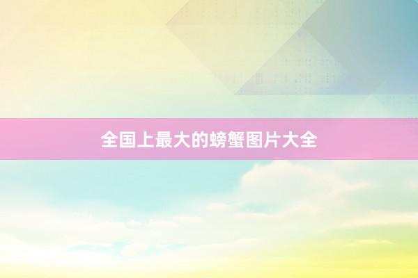 全国上最大的螃蟹图片大全