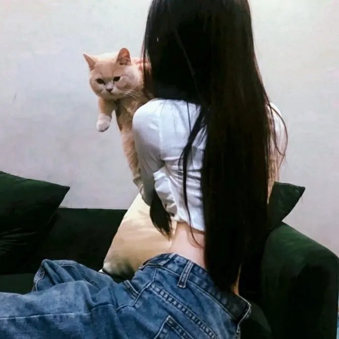 人生虚线