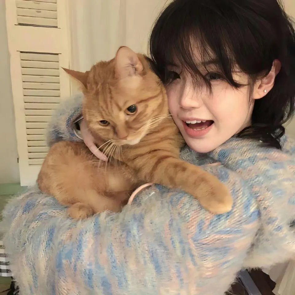 间谍夫妇今天又又又撞任务了